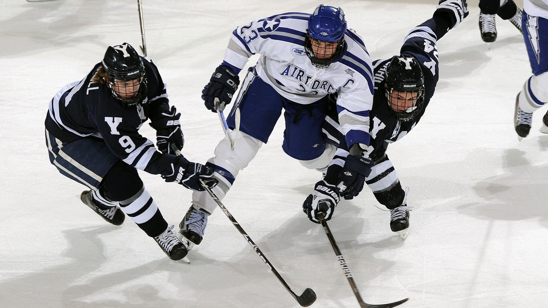 北境之王遇冷，武切维奇内线称霸，掘金逆天改命终结辽宁不败神话